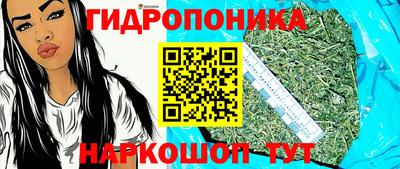 тгк Аша