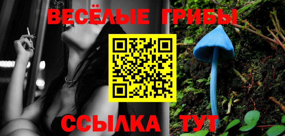 Белая Калитва  Псилоцибиновые грибы GOLDEN TEACHER  Вход с VPN 