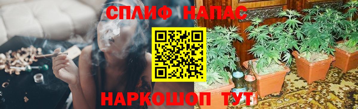 Белая Калитва  Каннабис SATIVA & INDICA  Шишки марихуана тримм  Вход с VPN  МАРИХУАНА семена 